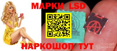 прущие грибы Пушкино
