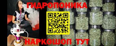 mdpv Пенза
