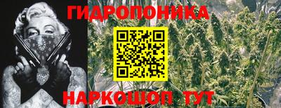 mdpv Пенза