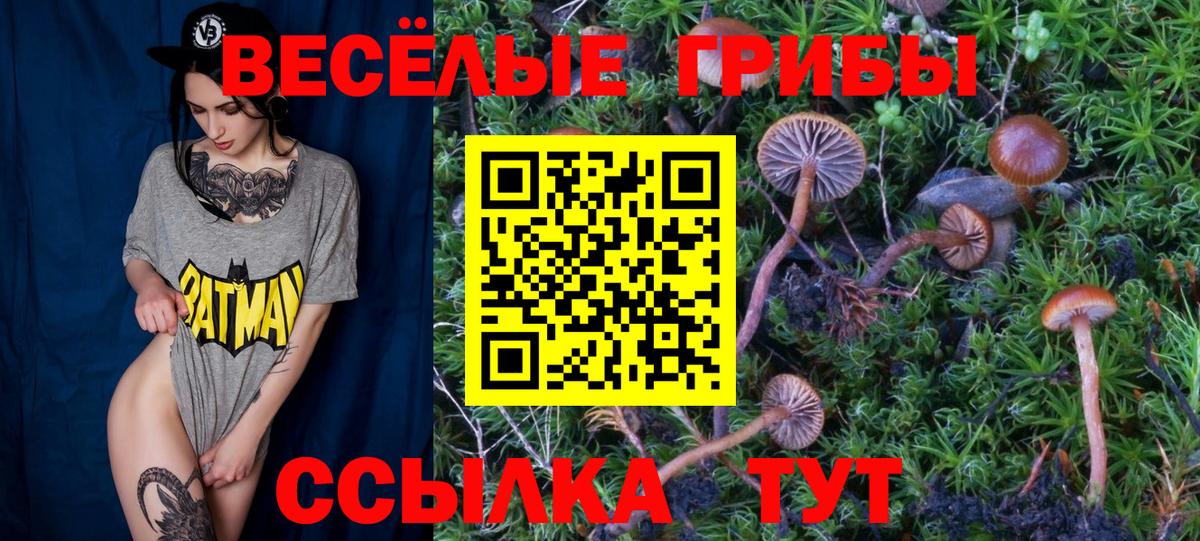 Галлюциногенные грибы Magic Shrooms Ртищево