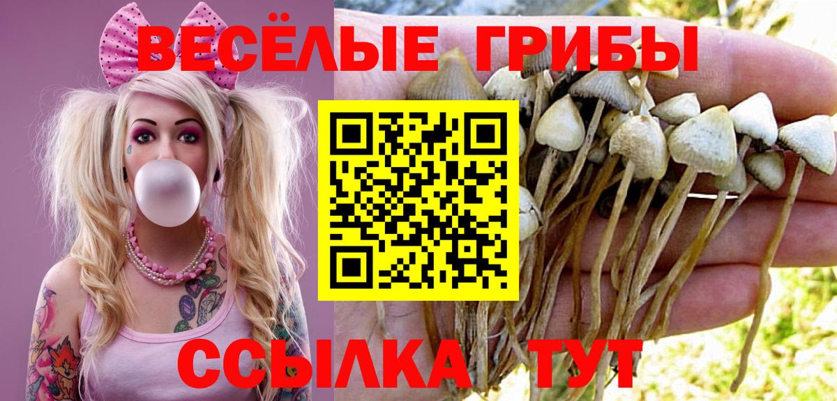 Ртищево  Псилоцибиновые грибы мицелий  Вход с VPN 